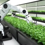 What’s The Role Of AI In Optimizing Agricultural Practices?